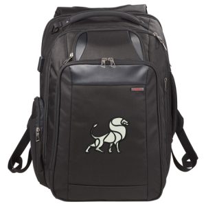 Elleven™ Stow TSA 17" Computer Backpack