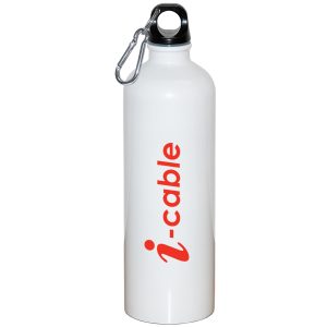 750ML (25 OZ.) STAINLESS STEEL WATER BOTTLE