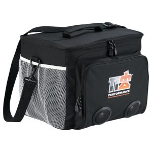 Game Day 30 Can Speaker Cooler