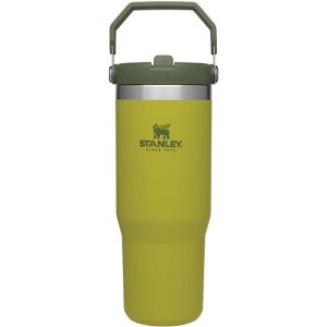 Stanley Flip Straw Tumbler 20oz