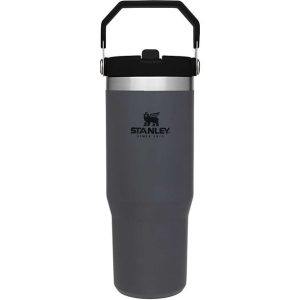 Stanley Flip Straw Tumbler 20oz