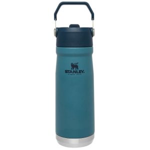 Stanley Flip Straw Water Bottle 22oz