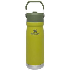 Stanley Flip Straw Water Bottle 22oz